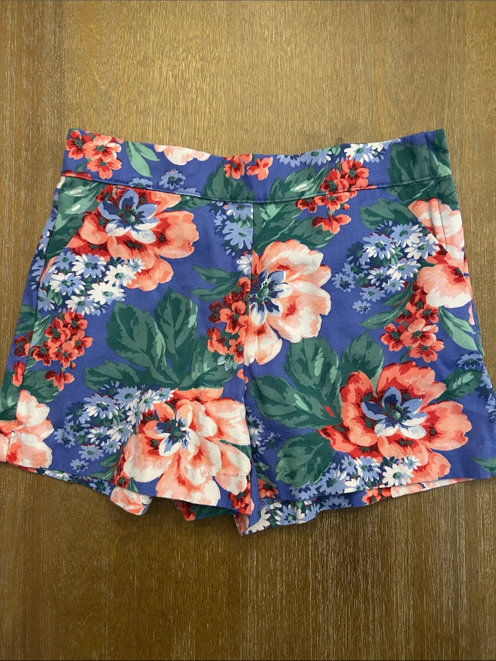 Janie and Jack Blue Floral Shorts with Coral and Green Accents